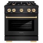 ZLINE 30 in. Dual Fuel Range 4.2 cu. ft. 4 Burner Gas Cooktop Electric Convection Oven Black Stainless Steel Polished Gold Accents (HDRBZ-30-G)