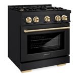 ZLINE 30 in. Dual Fuel Range 4.2 cu. ft. 4 Burner Gas Cooktop Electric Convection Oven Black Stainless Steel Polished Gold Accents (HDRBZ-30-G) - Image 2